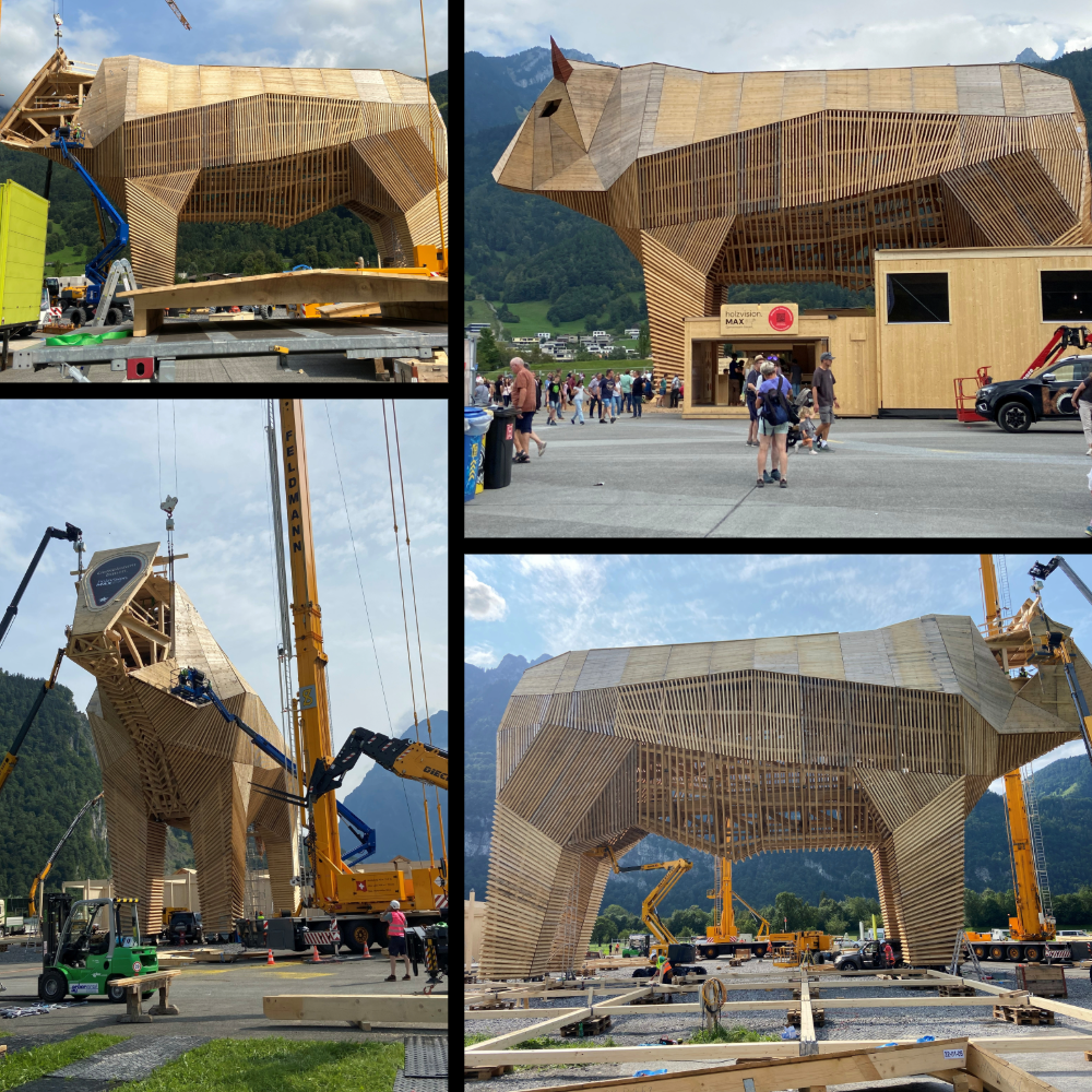 Holzvision Max